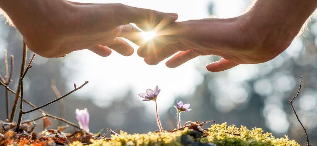 Curso Básico de Sanación Pránica de Master Choa Kok Sui